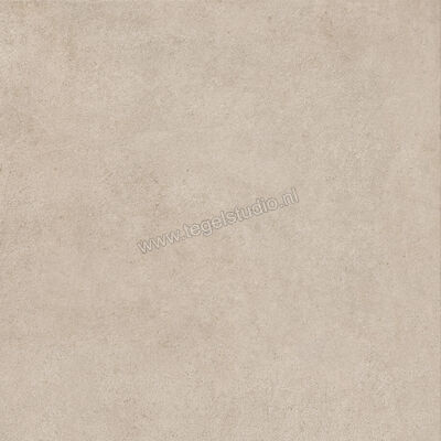  Ragno Solida Corda 60x60 cm Vloertegel / Wandtegel Mat Vlak Naturale RDEG | 448520