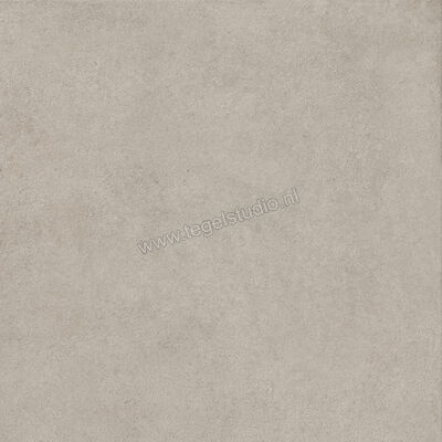  Ragno Solida Grigio 60x60 cm Vloertegel / Wandtegel Mat Vlak Naturale RDEJ | 448526