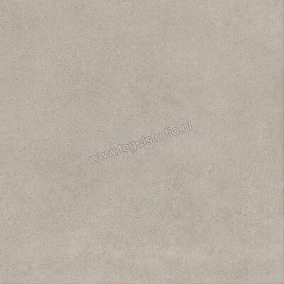  Ragno Solida Grigio 60x60 cm Vloertegel / Wandtegel Mat Vlak Naturale RDEJ | 448562