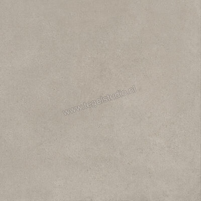  Ragno Solida Grigio 60x60 cm Vloertegel / Wandtegel Mat Vlak Naturale RDEJ | 448589