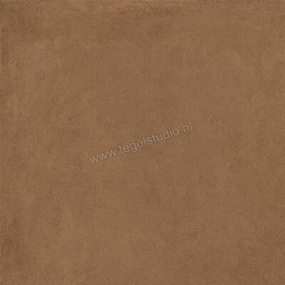  Ragno Solida Cotto 60x60 cm Vloertegel / Wandtegel Mat Vlak Naturale RDEM | 448658