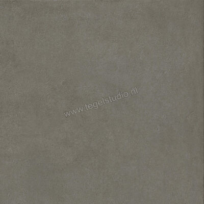  Ragno Solida Cemento 60x60 cm Vloertegel / Wandtegel Mat Vlak Naturale RDEL | 448700