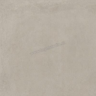  Ragno Solida Grigio 60x60 cm Vloertegel / Wandtegel Mat Vlak Naturale RDEJ | 448826