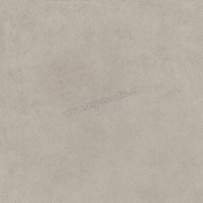  Ragno Solida Grigio 100x100 cm Vloertegel / Wandtegel Mat Vlak Naturale RDEN | 448916