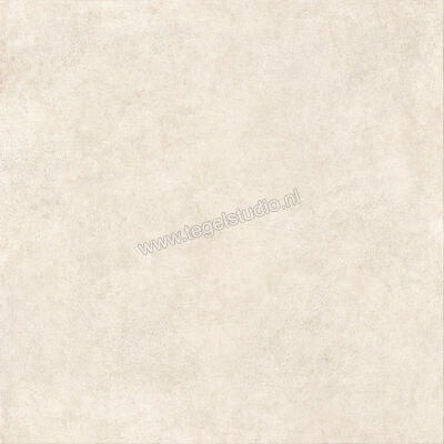  Ragno Solida Bianco 120x120 cm Vloertegel / Wandtegel Mat Vlak Naturale RDDS | 449006