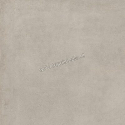  Ragno Solida Grigio 100x100 cm Vloertegel / Wandtegel Mat Vlak Naturale RDEN | 449018