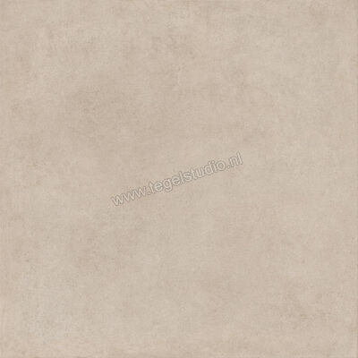  Ragno Solida Corda 120x120 cm Vloertegel / Wandtegel Mat Vlak Naturale RDDP | 449024