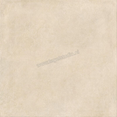  Ragno Solida Avorio 120x120 cm Vloertegel / Wandtegel Mat Vlak Naturale RDDR | 449033