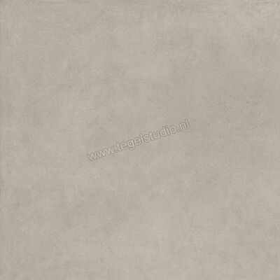  Ragno Solida Grigio 100x100 cm Vloertegel / Wandtegel Mat Vlak Naturale RDEN | 449042