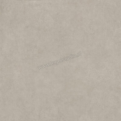  Ragno Solida Grigio 100x100 cm Vloertegel / Wandtegel Mat Vlak Naturale RDEN | 449051