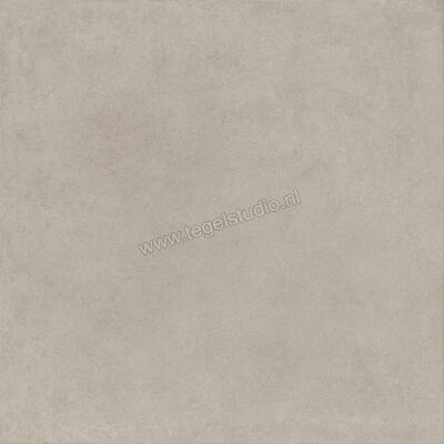  Ragno Solida Grigio 120x120 cm Vloertegel / Wandtegel Mat Vlak Naturale RDDT | 449099