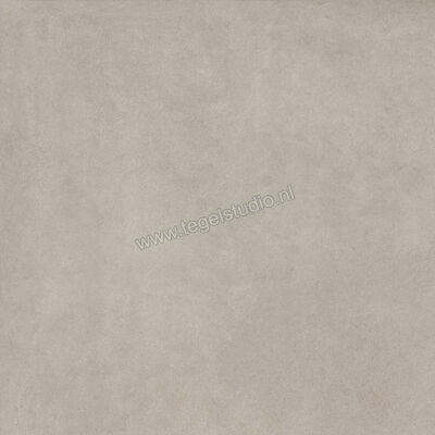  Ragno Solida Grigio 100x100 cm Vloertegel / Wandtegel Mat Vlak Naturale RDEN | 449126