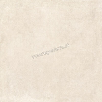  Ragno Solida Bianco 120x120 cm Vloertegel / Wandtegel Mat Vlak Naturale RDDS | 449138