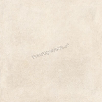  Ragno Solida Bianco 120x120 cm Vloertegel / Wandtegel Mat Vlak Naturale RDDS | 449162