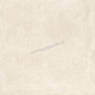  Ragno Solida Bianco 120x120 cm Vloertegel / Wandtegel Mat Vlak Naturale RDDS | 449174