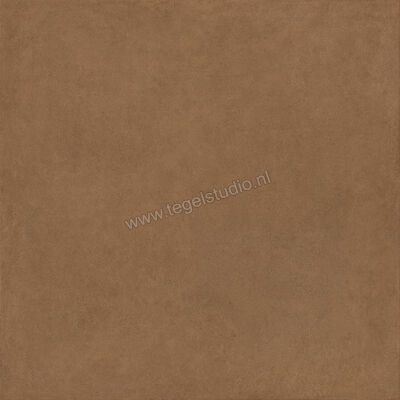  Ragno Solida Cotto 120x120 cm Vloertegel / Wandtegel Mat Vlak Naturale RDDU | 449195