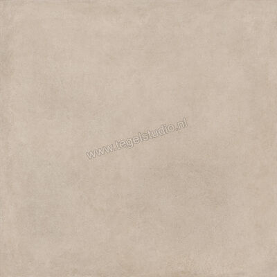  Ragno Solida Corda 120x120 cm Vloertegel / Wandtegel Mat Vlak Naturale RDDP | 449210