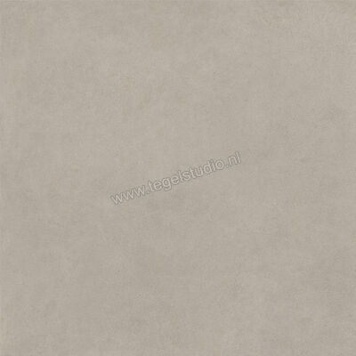  Ragno Solida Grigio 100x100 cm Vloertegel / Wandtegel Mat Vlak Naturale RDEN | 449261