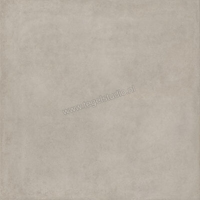  Ragno Solida Grigio 120x120 cm Vloertegel / Wandtegel Mat Vlak Naturale RDDT | 449273