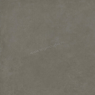  Ragno Solida Cemento 100x100 cm Vloertegel / Wandtegel Mat Vlak Naturale RDEQ | 449288