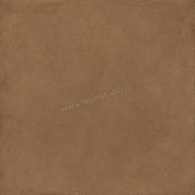  Ragno Solida Cotto 120x120 cm Vloertegel / Wandtegel Mat Vlak Naturale RDDU | 449294