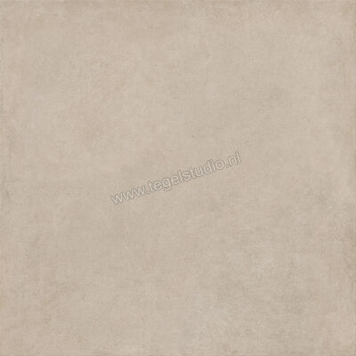  Ragno Solida Corda 120x120 cm Vloertegel / Wandtegel Mat Vlak Naturale RDDP | 449300