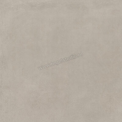  Ragno Solida Grigio 100x100 cm Vloertegel / Wandtegel Mat Vlak Naturale RDEN | 449330