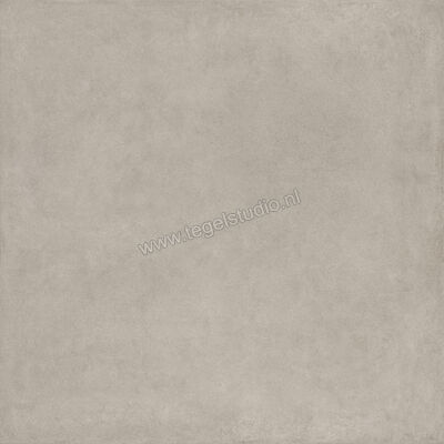  Ragno Solida Grigio 120x120 cm Vloertegel / Wandtegel Mat Vlak Naturale RDDT | 449336