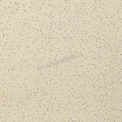  Ragno Galassia Panna 20x20 cm Vloertegel / Wandtegel Mat Vlak Naturale 4M28 | 449345