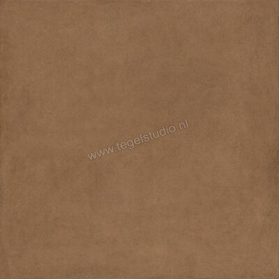  Ragno Solida Cotto 120x120 cm Vloertegel / Wandtegel Mat Vlak Naturale RDDU | 449375