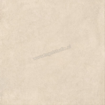 Ragno Solida Avorio 120x120 cm Vloertegel / Wandtegel Mat Vlak Naturale RDDR | 449393