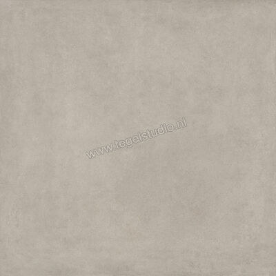  Ragno Solida Grigio 120x120 cm Vloertegel / Wandtegel Mat Vlak Naturale RDDT | 449399