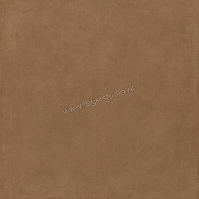  Ragno Solida Cotto 120x120 cm Vloertegel / Wandtegel Mat Vlak Naturale RDDU | 449405