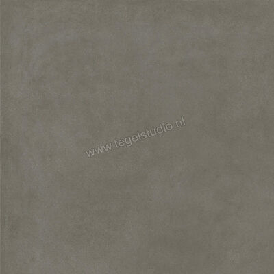  Ragno Solida Cemento 100x100 cm Vloertegel / Wandtegel Mat Vlak Naturale RDEQ | 449411