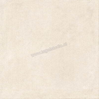  Ragno Solida Bianco 120x120 cm Vloertegel / Wandtegel Mat Vlak Naturale RDDS | 449435