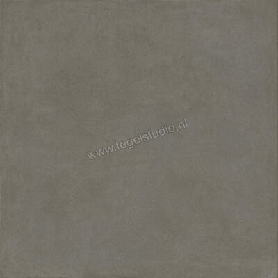  Ragno Solida Cemento 120x120 cm Vloertegel / Wandtegel Mat Vlak Naturale RDDQ | 449441