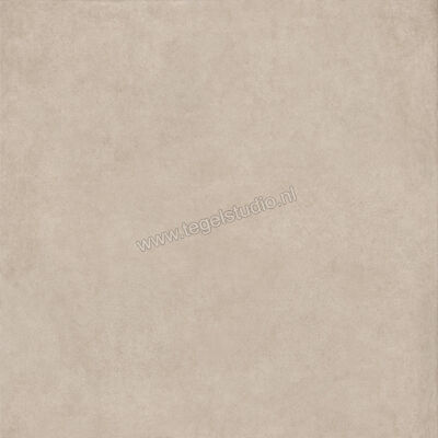  Ragno Solida Corda 120x120 cm Vloertegel / Wandtegel Mat Vlak Naturale RDDP | 449447