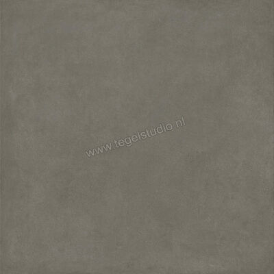  Ragno Solida Cemento 120x120 cm Vloertegel / Wandtegel Mat Vlak Naturale RDDQ | 449453