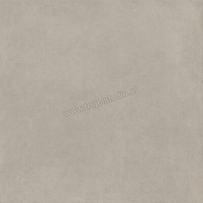  Ragno Solida Grigio 120x120 cm Vloertegel / Wandtegel Mat Vlak Naturale RDDT | 449459