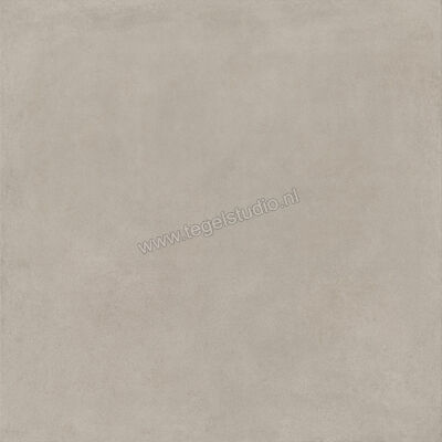  Ragno Solida Grigio 120x120 cm Vloertegel / Wandtegel Mat Vlak Naturale RDDT | 449465