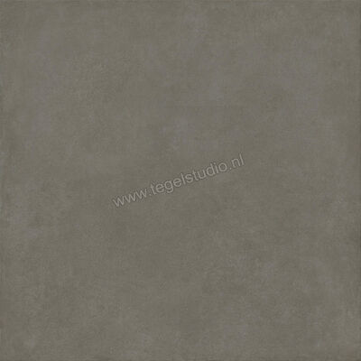  Ragno Solida Cemento 120x120 cm Vloertegel / Wandtegel Mat Vlak Naturale RDDQ | 449471