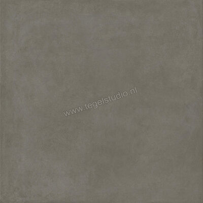  Ragno Solida Cemento 120x120 cm Vloertegel / Wandtegel Mat Vlak Naturale RDDQ | 449477