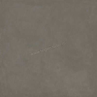  Ragno Solida Cemento 120x120 cm Vloertegel / Wandtegel Mat Vlak Naturale RDDQ | 449486