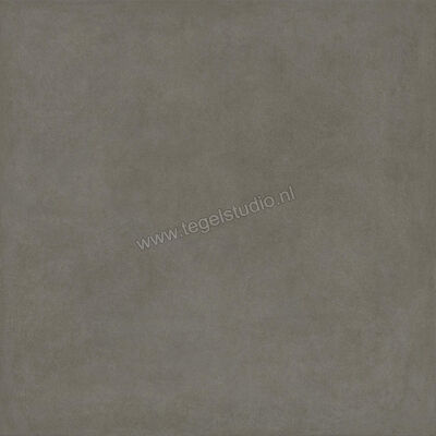  Ragno Solida Cemento 120x120 cm Vloertegel / Wandtegel Mat Vlak Naturale RDDQ | 449492