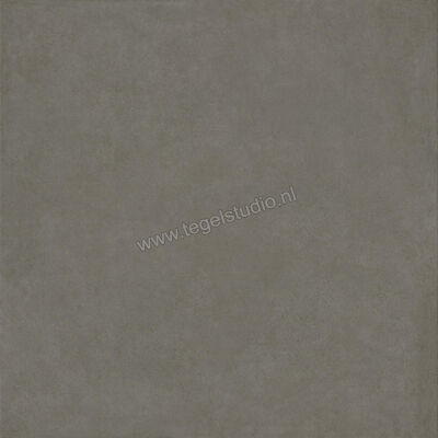  Ragno Solida Cemento 120x120 cm Vloertegel / Wandtegel Mat Vlak Naturale RDDQ | 449501