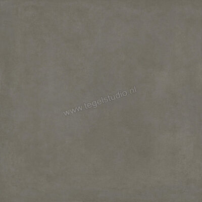  Ragno Solida Cemento 120x120 cm Vloertegel / Wandtegel Mat Vlak Naturale RDDQ | 449507