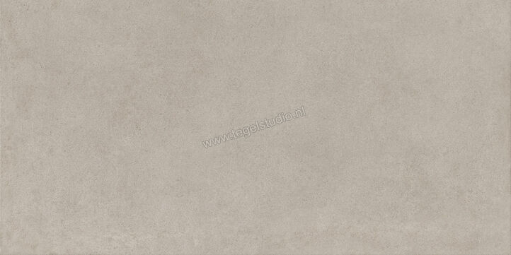  Ragno Solida Grigio 60x120 cm Vloertegel / Wandtegel Mat Vlak Naturale RDE4 | 449579
