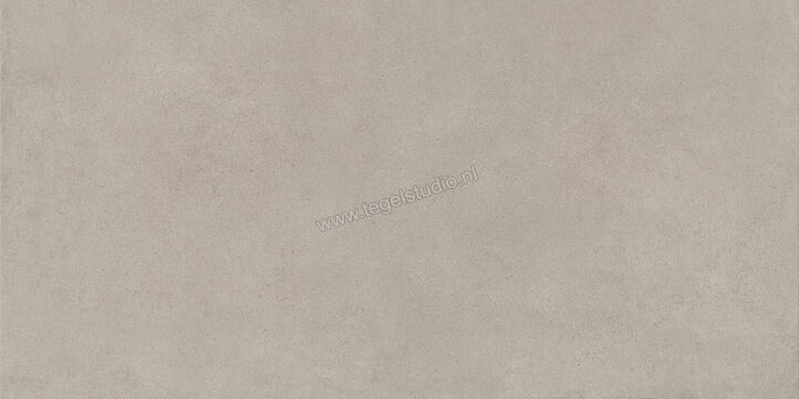  Ragno Solida Grigio 60x120 cm Vloertegel / Wandtegel Mat Vlak Naturale RDE4 | 449657