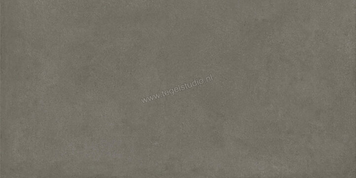  Ragno Solida Cemento 60x120 cm Vloertegel / Wandtegel Mat Vlak Naturale RDE3 | 449687