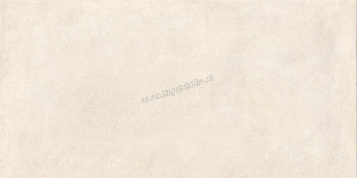  Ragno Solida Bianco 60x120 cm Vloertegel / Wandtegel Mat Vlak Naturale RDE5 | 449711